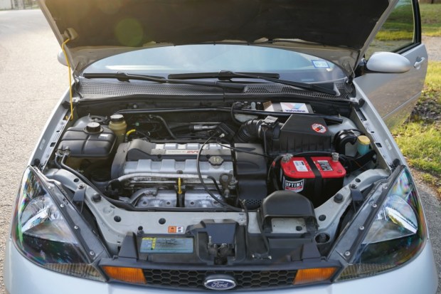 No Reserve: 2002 Ford Focus SVT